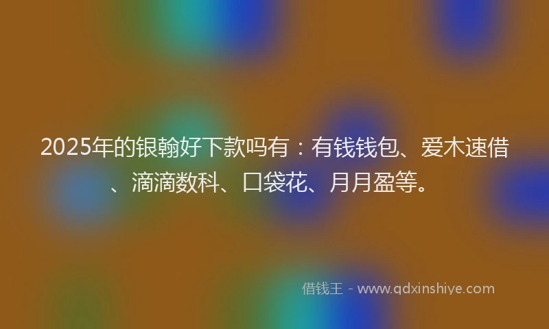 2025年的银翰好下款吗有：有钱钱包、爱木速借、滴滴数科、口袋花、月月盈等。