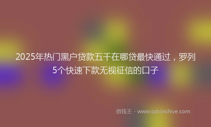 2025年热门黑户贷款五千在哪贷最快通过，罗列5个快速下款无视征信的口子