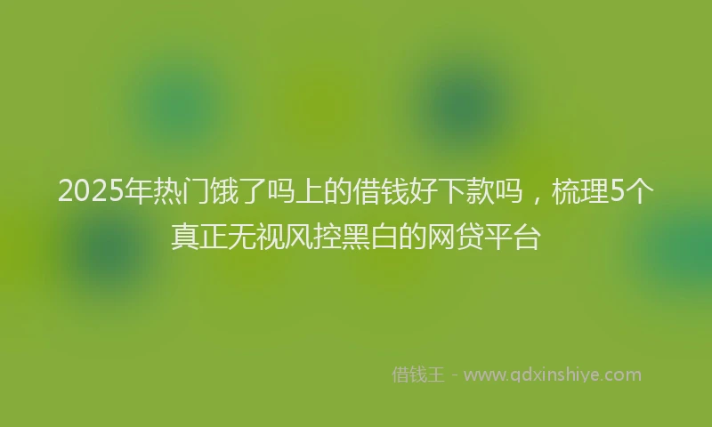 2025年热门饿了吗上的借钱好下款吗，梳理5个真正无视风控黑白的网贷平台