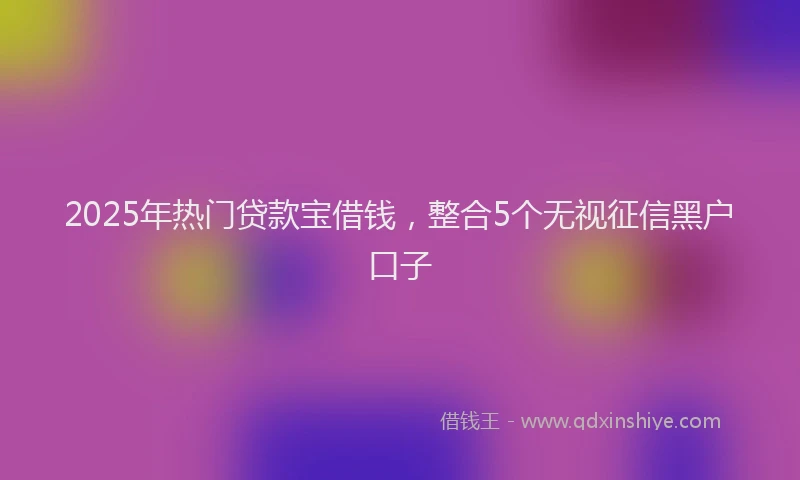 2025年热门贷款宝借钱，整合5个无视征信黑户口子
