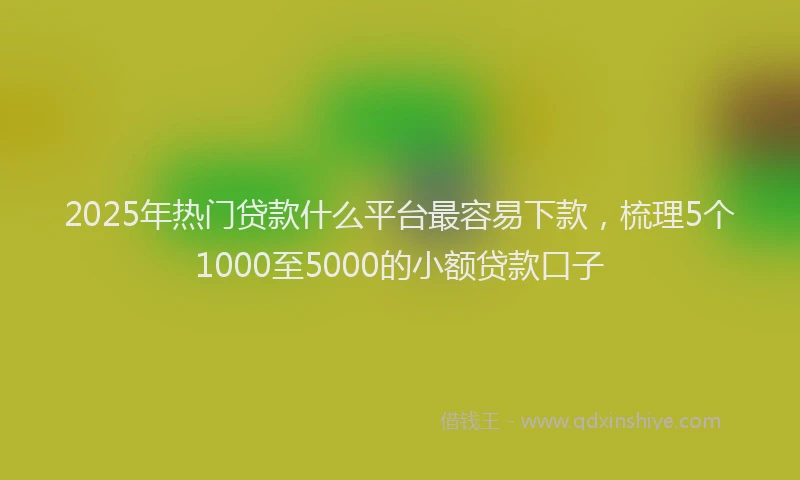 2025年热门贷款什么平台最容易下款，梳理5个1000至5000的小额贷款口子