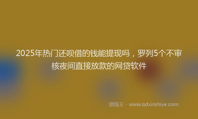 2025年热门还呗借的钱能提现吗，罗列5个不审核夜间直接放款的网贷软件