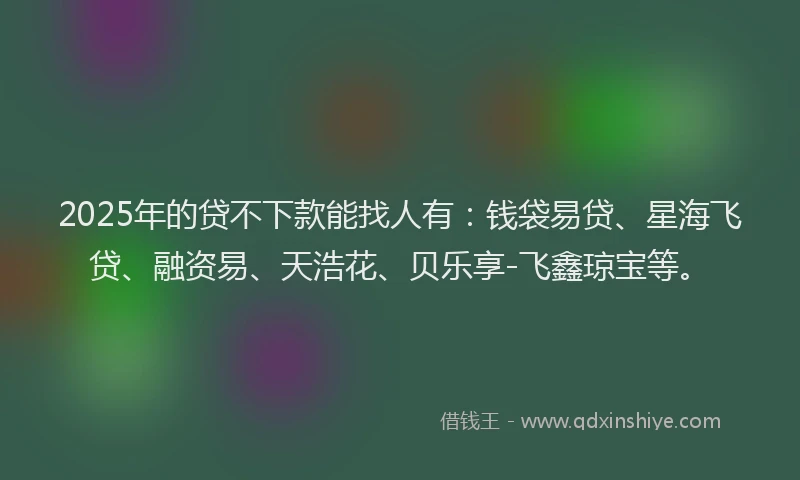 2025年的贷不下款能找人有：钱袋易贷、星海飞贷、融资易、天浩花、贝乐享-飞鑫琼宝等。