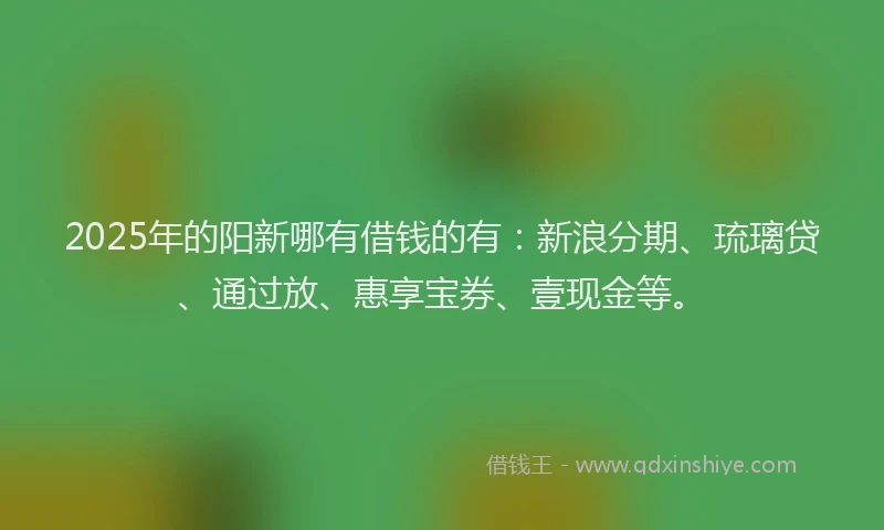 2025年的阳新哪有借钱的有：新浪分期、琉璃贷、通过放、惠享宝券、壹现金等。