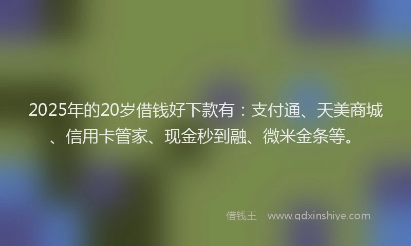 2025年的20岁借钱好下款有：支付通、天美商城、信用卡管家、现金秒到融、微米金条等。