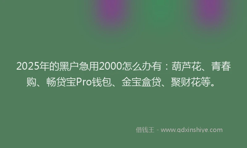 2025年的黑户急用2000怎么办有：葫芦花、青春购、畅贷宝Pro钱包、金宝盒贷、聚财花等。