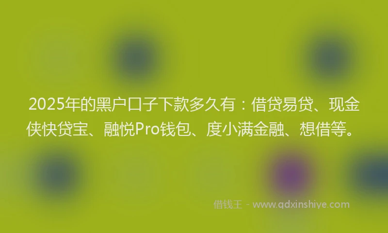 2025年的黑户口子下款多久有：借贷易贷、现金侠快贷宝、融悦Pro钱包、度小满金融、想借等。