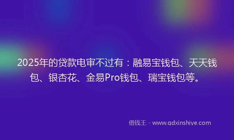 2025年的贷款电审不过有：融易宝钱包、天天钱包、银杏花、金易Pro钱包、瑞宝钱包等。