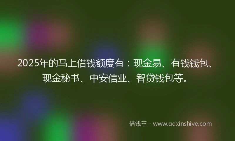 2025年的马上借钱额度有：现金易、有钱钱包、现金秘书、中安信业、智贷钱包等。