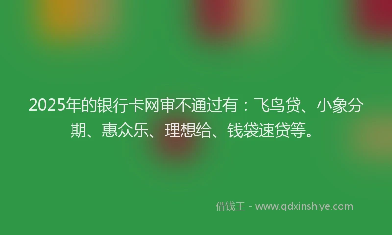 2025年的银行卡网审不通过有：飞鸟贷、小象分期、惠众乐、理想给、钱袋速贷等。