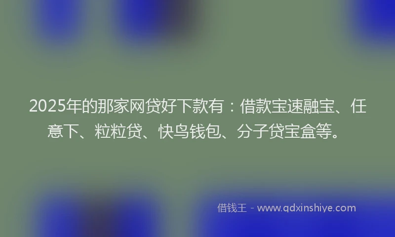 2025年的那家网贷好下款有：借款宝速融宝、任意下、粒粒贷、快鸟钱包、分子贷宝盒等。
