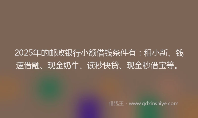 2025年的邮政银行小额借钱条件有：租小新、钱速借融、现金奶牛、读秒快贷、现金秒借宝等。