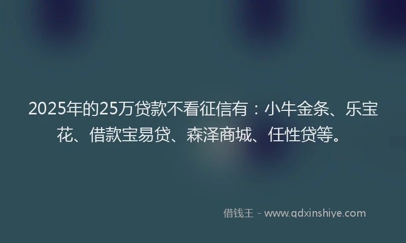 2025年的25万贷款不看征信有：小牛金条、乐宝花、借款宝易贷、森泽商城、任性贷等。