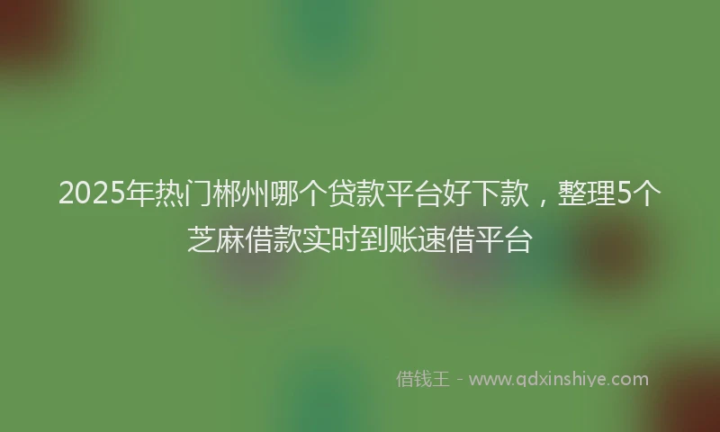 2025年热门郴州哪个贷款平台好下款，整理5个芝麻借款实时到账速借平台