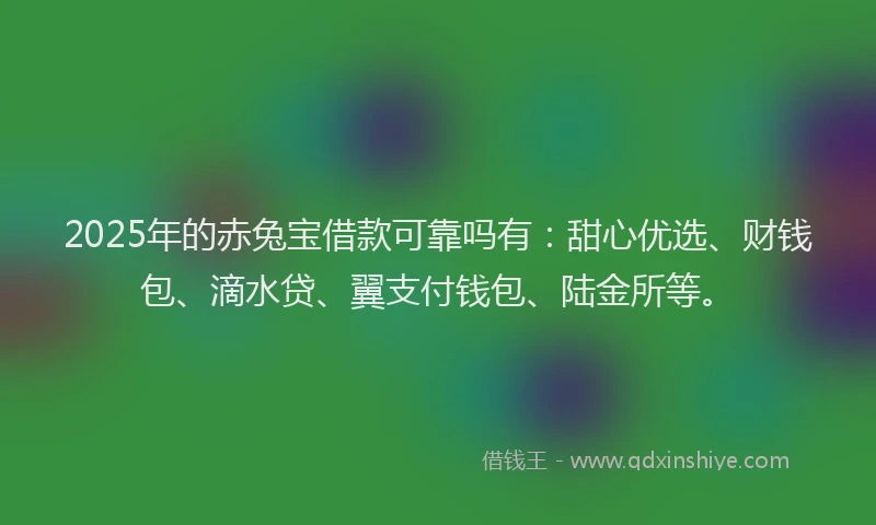 2025年的赤兔宝借款可靠吗有：甜心优选、财钱包、滴水贷、翼支付钱包、陆金所等。