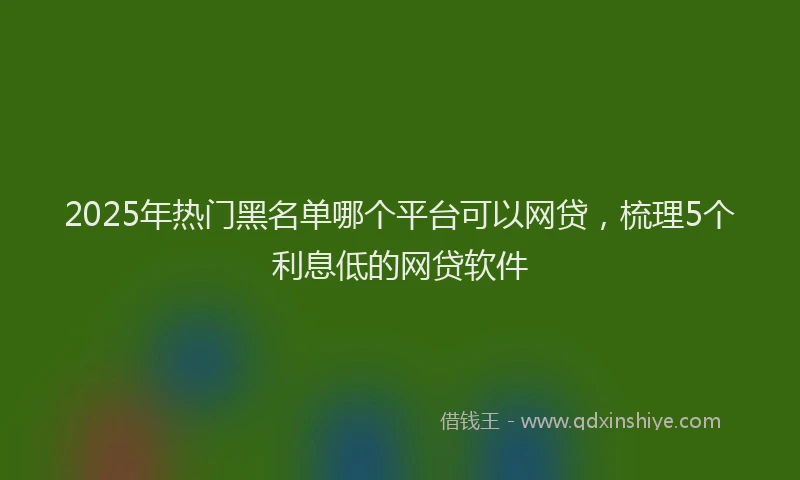 2025年热门黑名单哪个平台可以网贷，梳理5个利息低的网贷软件