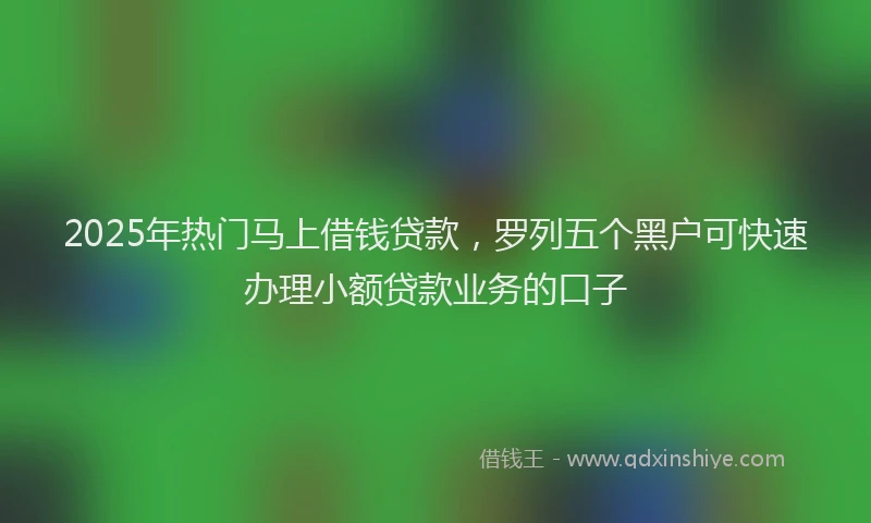 2025年热门马上借钱贷款，罗列五个黑户可快速办理小额贷款业务的口子