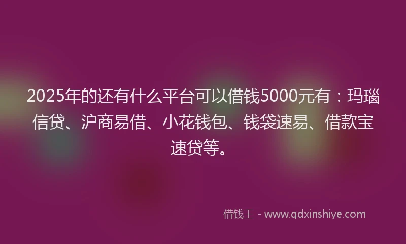 2025年的还有什么平台可以借钱5000元有：玛瑙信贷、沪商易借、小花钱包、钱袋速易、借款宝速贷等。