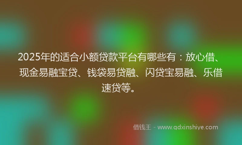 2025年的适合小额贷款平台有哪些有：放心借、现金易融宝贷、钱袋易贷融、闪贷宝易融、乐借速贷等。