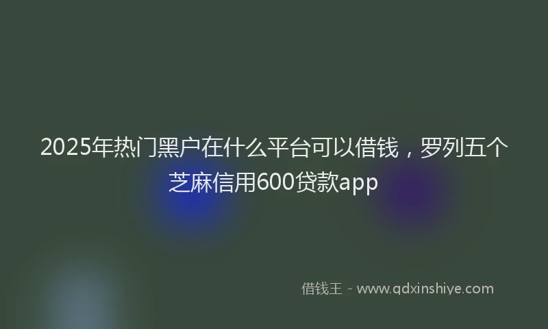 2025年热门黑户在什么平台可以借钱，罗列五个芝麻信用600贷款app