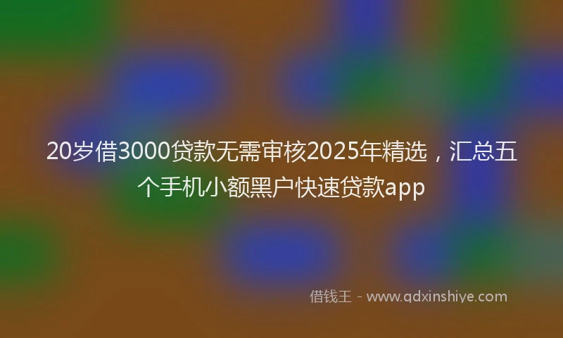 20岁借3000贷款无需审核2025年精选，汇总五个手机小额黑户快速贷款app