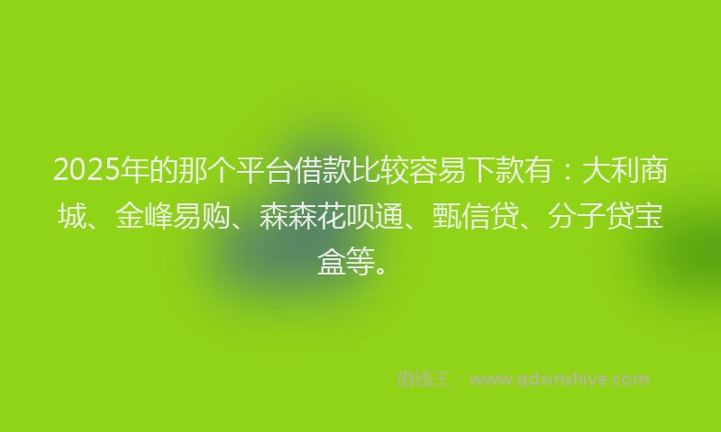 2025年的那个平台借款比较容易下款有：大利商城、金峰易购、森森花呗通、甄信贷、分子贷宝盒等。