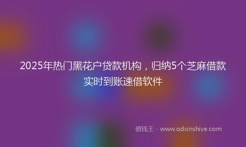 2025年热门黑花户贷款机构，归纳5个芝麻借款实时到账速借软件
