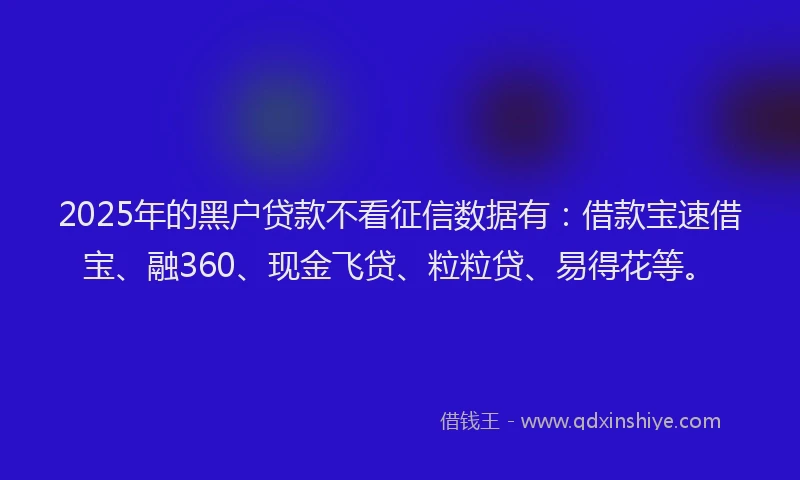 2025年的黑户贷款不看征信数据有：借款宝速借宝、融360、现金飞贷、粒粒贷、易得花等。