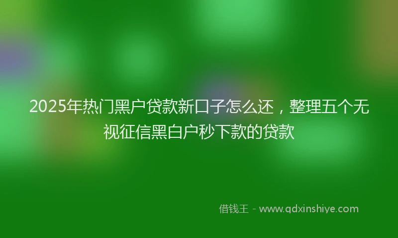 2025年热门黑户贷款新口子怎么还，整理五个无视征信黑白户秒下款的贷款