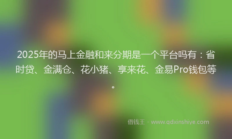2025年的马上金融和来分期是一个平台吗有：省时贷、金满仓、花小猪、享来花、金易Pro钱包等。