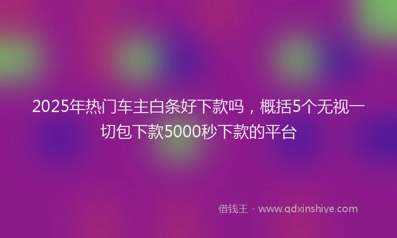 2025年热门车主白条好下款吗，概括5个无视一切包下款5000秒下款的平台