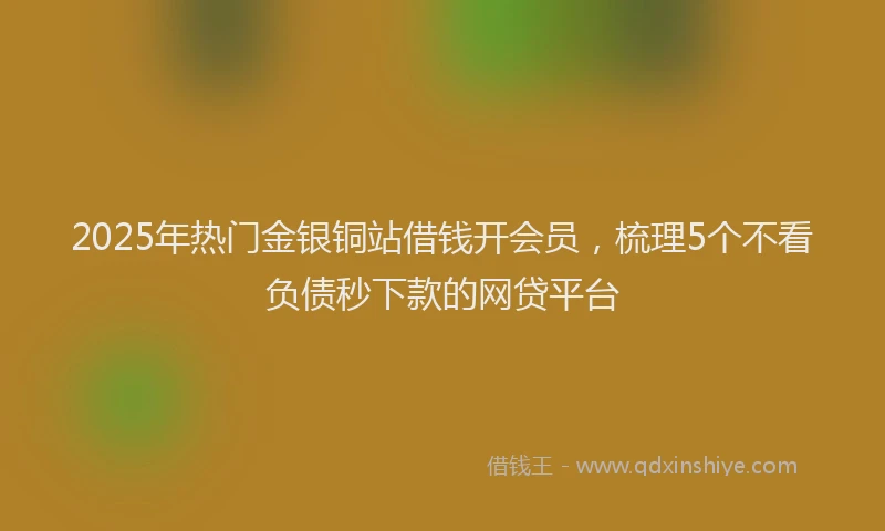 2025年热门金银铜站借钱开会员，梳理5个不看负债秒下款的网贷平台