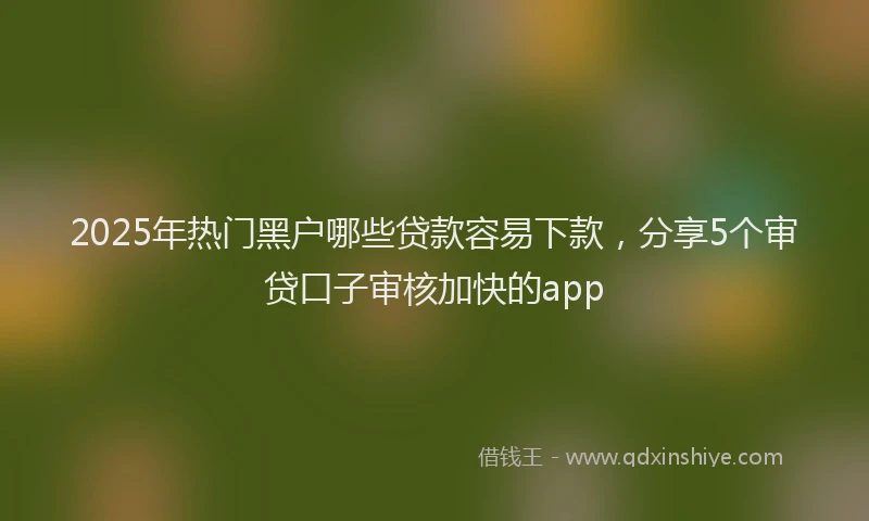 2025年热门黑户哪些贷款容易下款，分享5个审贷口子审核加快的app
