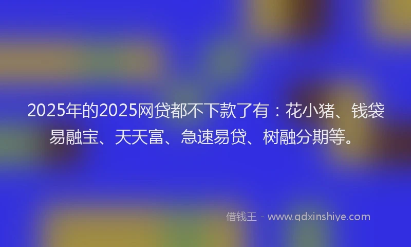 2025年的2025网贷都不下款了有：花小猪、钱袋易融宝、天天富、急速易贷、树融分期等。