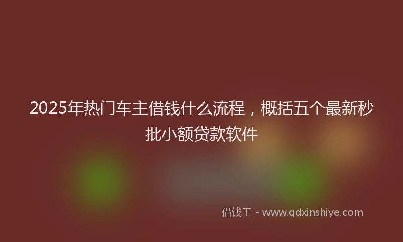 2025年热门车主借钱什么流程，概括五个最新秒批小额贷款软件