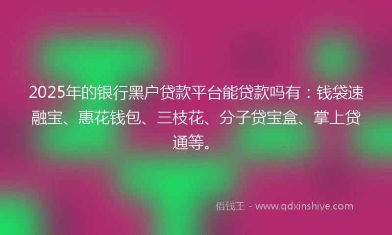 2025年的银行黑户贷款平台能贷款吗有：钱袋速融宝、惠花钱包、三枝花、分子贷宝盒、掌上贷通等。