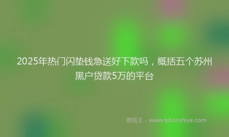 2025年热门闪垫钱急送好下款吗，概括五个苏州黑户贷款5万的平台