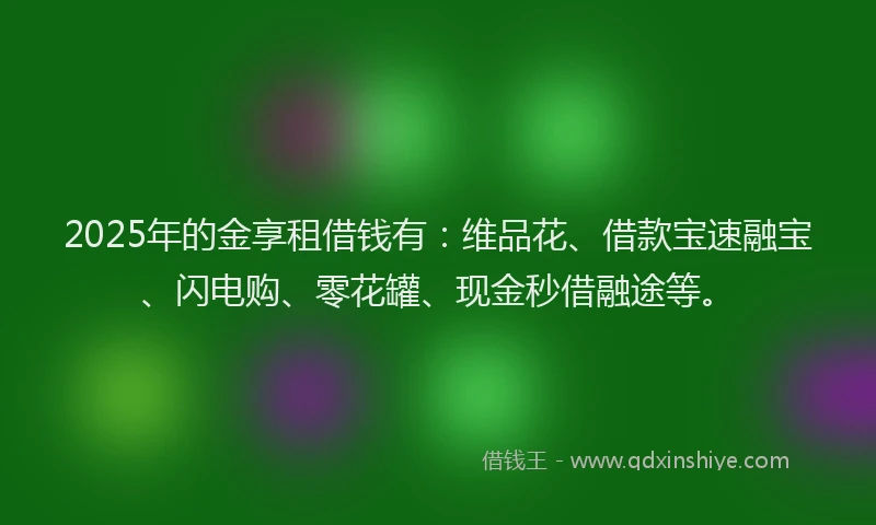 2025年的金享租借钱有：维品花、借款宝速融宝、闪电购、零花罐、现金秒借融途等。