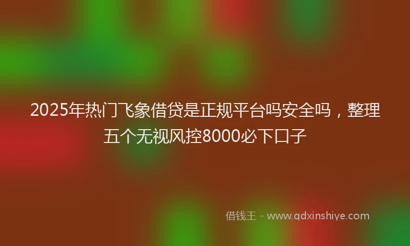 2025年热门飞象借贷是正规平台吗安全吗，整理五个无视风控8000必下口子