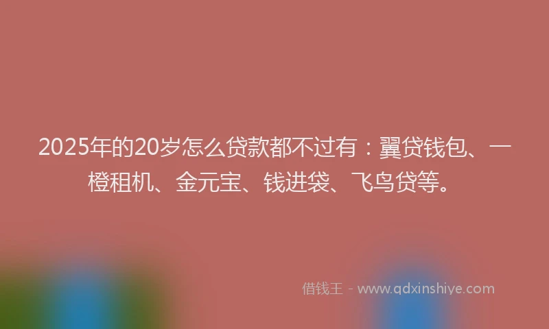 2025年的20岁怎么贷款都不过有：翼贷钱包、一橙租机、金元宝、钱进袋、飞鸟贷等。