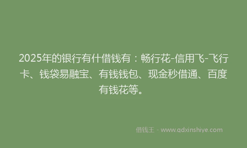 2025年的银行有什借钱有：畅行花-信用飞-飞行卡、钱袋易融宝、有钱钱包、现金秒借通、百度有钱花等。