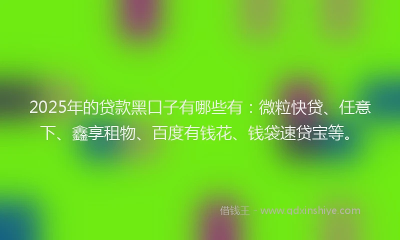 2025年的贷款黑口子有哪些有：微粒快贷、任意下、鑫享租物、百度有钱花、钱袋速贷宝等。