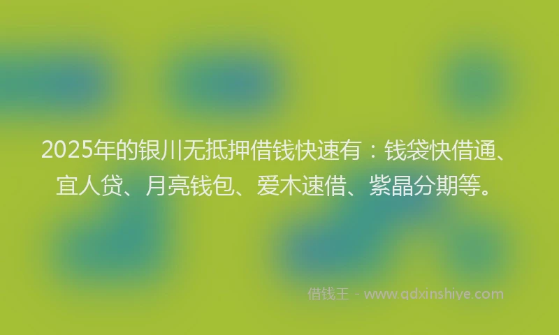 2025年的银川无抵押借钱快速有：钱袋快借通、宜人贷、月亮钱包、爱木速借、紫晶分期等。