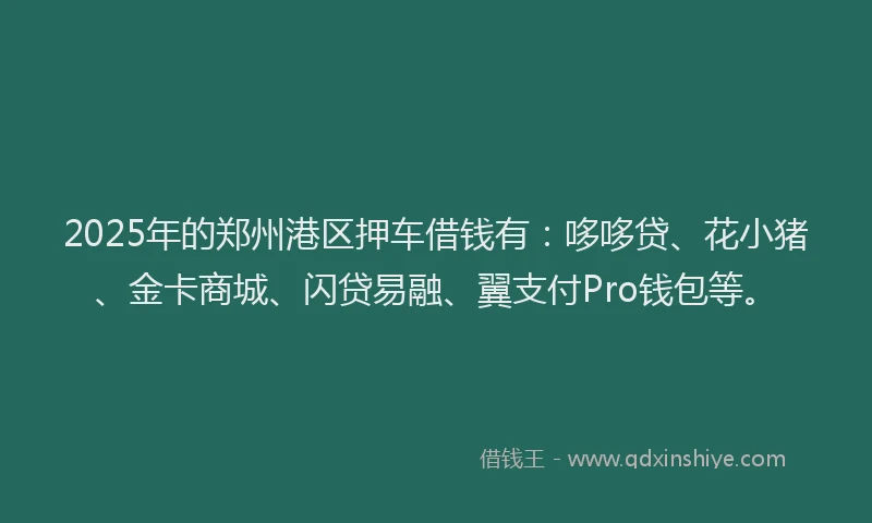 2025年的郑州港区押车借钱有：哆哆贷、花小猪、金卡商城、闪贷易融、翼支付Pro钱包等。