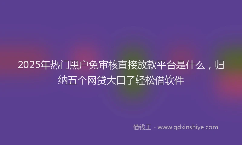 2025年热门黑户免审核直接放款平台是什么，归纳五个网贷大口子轻松借软件