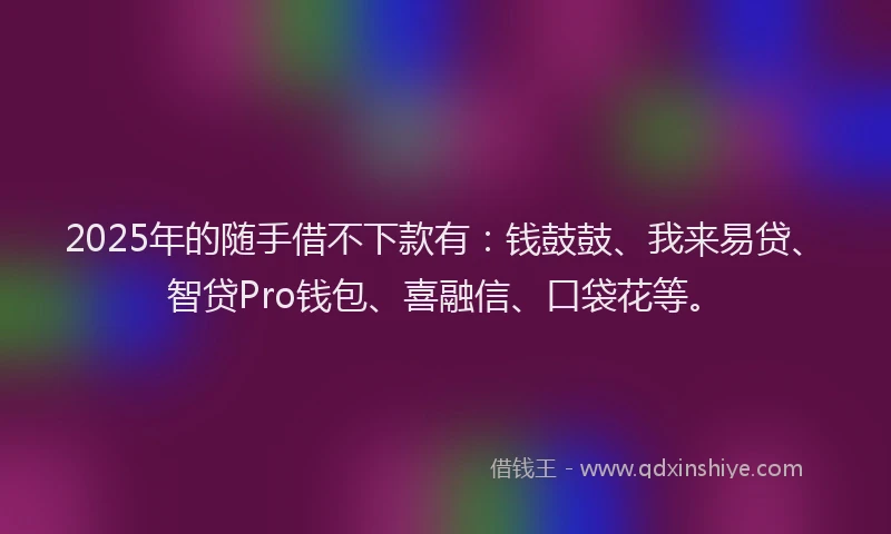 2025年的随手借不下款有：钱鼓鼓、我来易贷、智贷Pro钱包、喜融信、口袋花等。