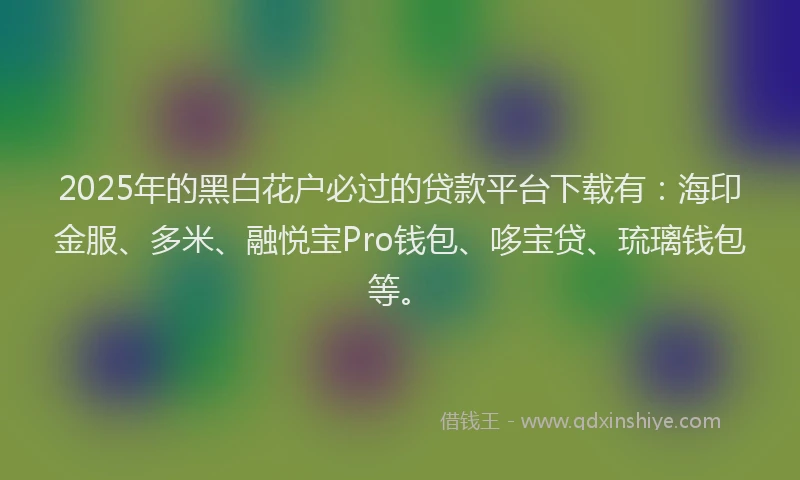 2025年的黑白花户必过的贷款平台下载有：海印金服、多米、融悦宝Pro钱包、哆宝贷、琉璃钱包等。