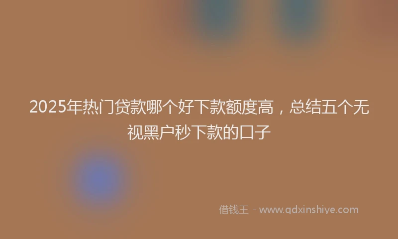 2025年热门贷款哪个好下款额度高，总结五个无视黑户秒下款的口子