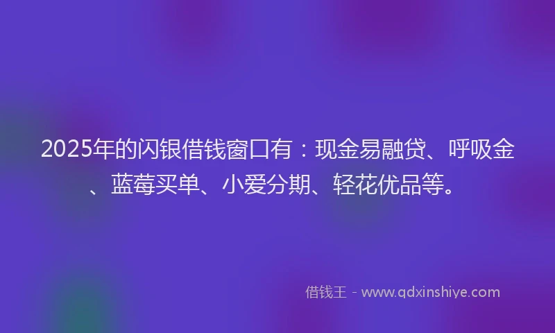 2025年的闪银借钱窗口有：现金易融贷、呼吸金、蓝莓买单、小爱分期、轻花优品等。