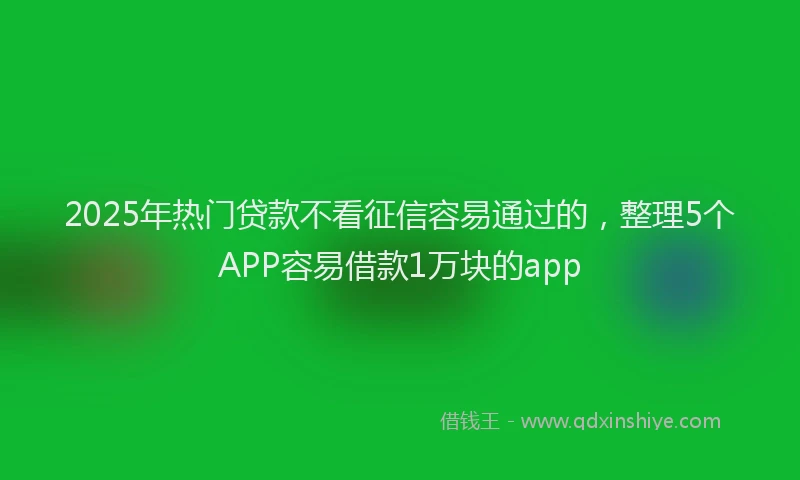 2025年热门贷款不看征信容易通过的，整理5个APP容易借款1万块的app
